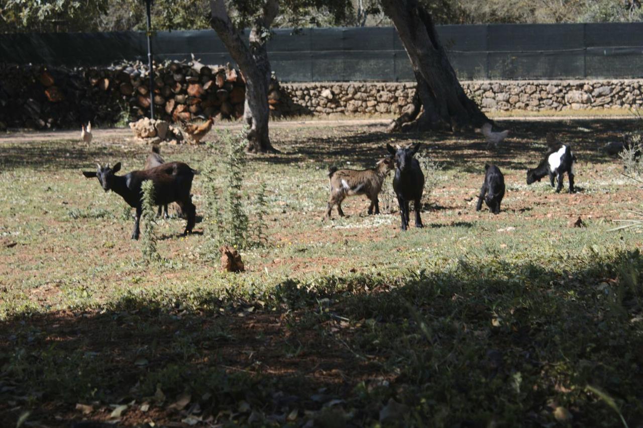 Agroturismo Tenuta Ferraro Gallipoli