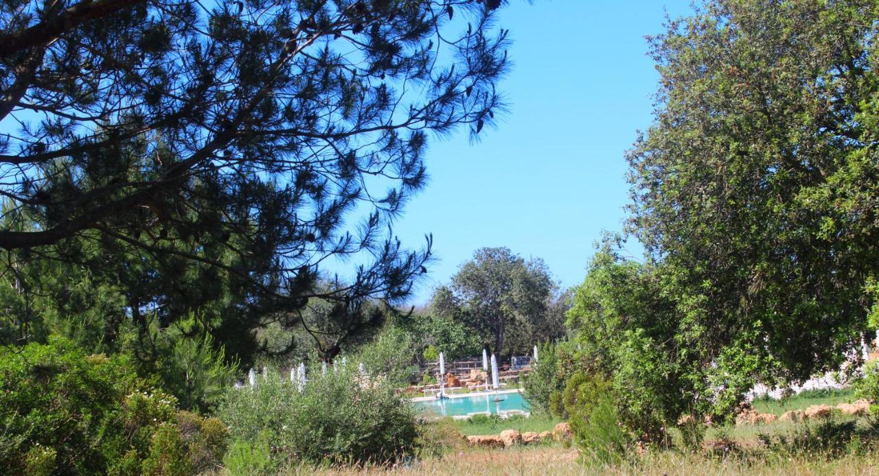 Tenuta Ferraro