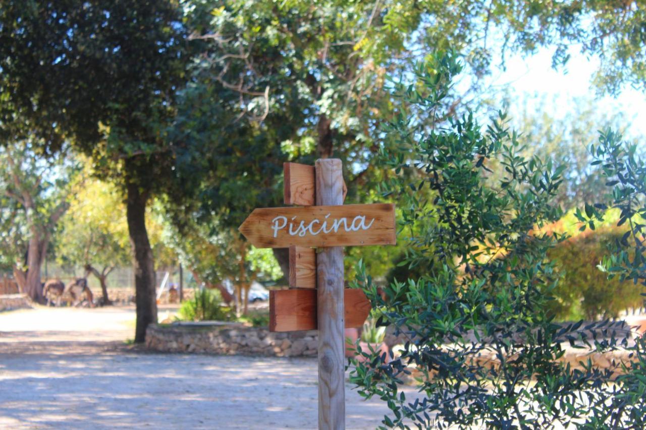 Tenuta Ferraro Bauernhof *