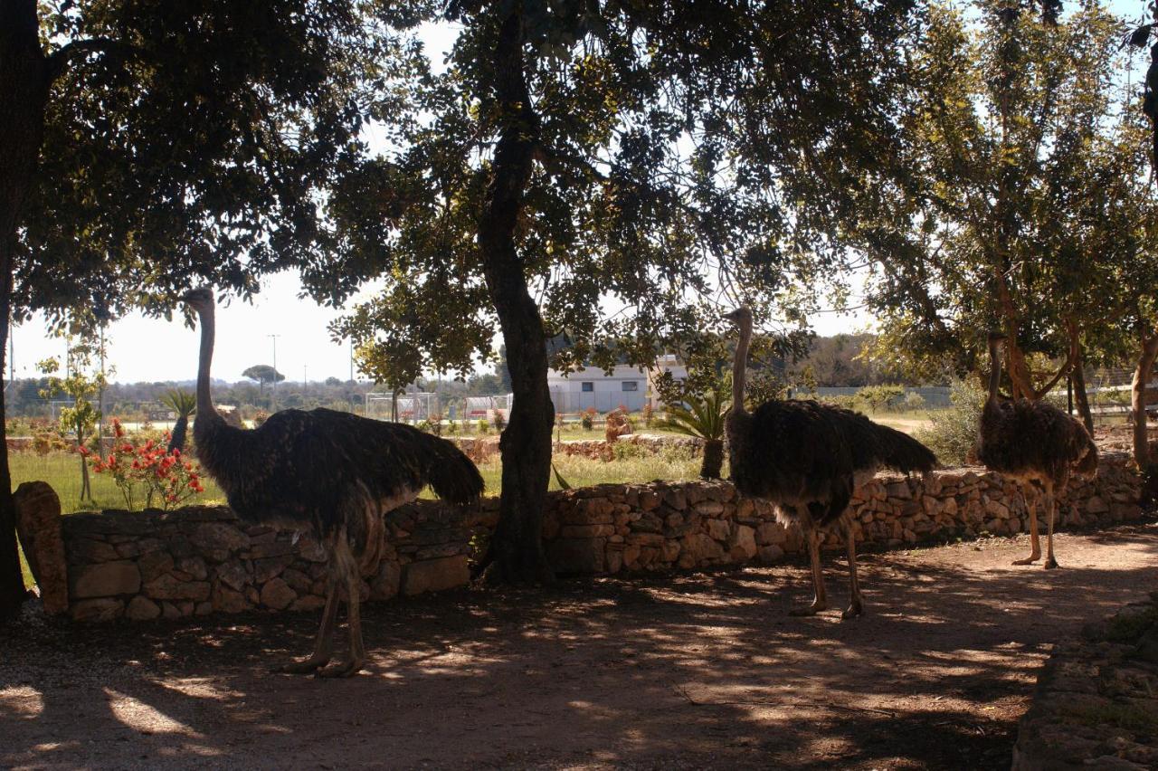 Bauernhof Tenuta Ferraro Gallipoli