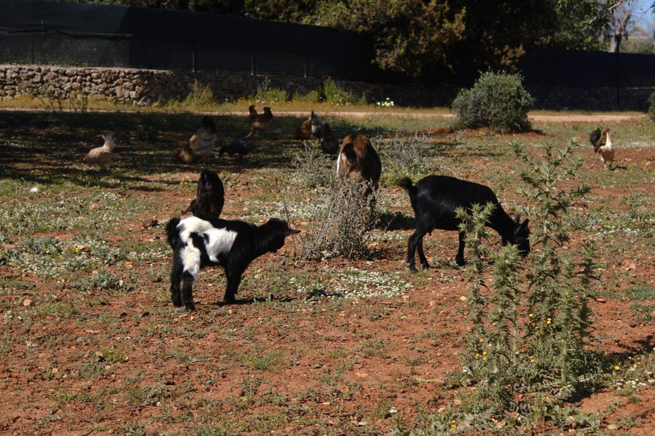 Agroturismo Tenuta Ferraro Gallipoli