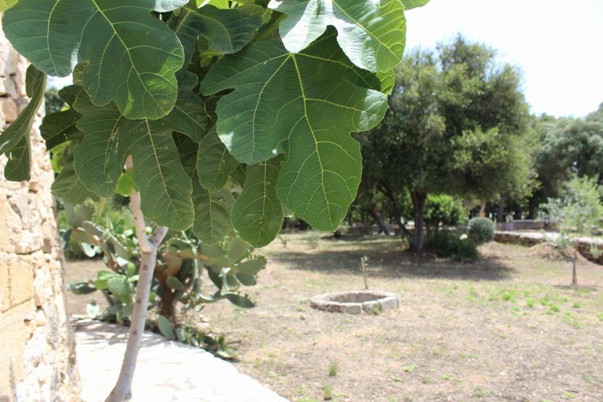 Tenuta Ferraro *